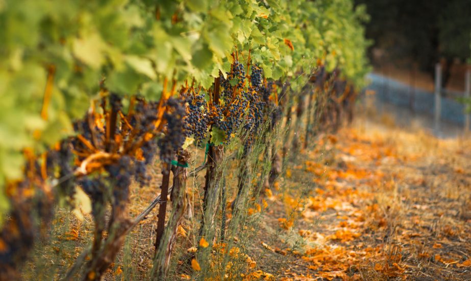 20221118_KWWEBSITE_01-1